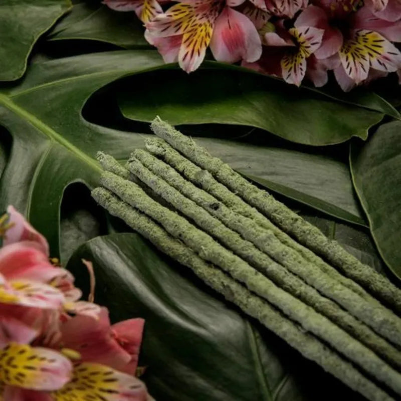 Botanical Incense Line - Green Tea & Champa