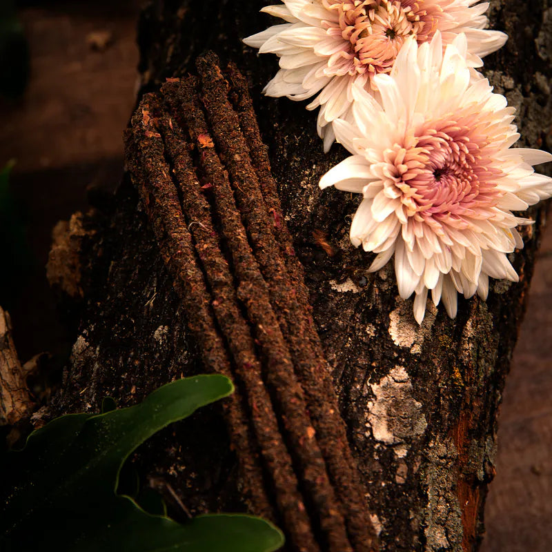 Botanical Incense Line - Cloves and Roses